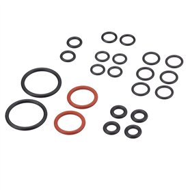 QASULER Joint torique d'étanchéité for Nettoyeur Vapeur SC2 SC3 SC4 SC5 CTK10 CTK20 K.Archer 2.884-312.0 Pièces de Rechange Nett