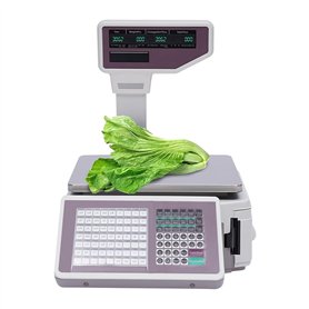 Balance Numérique D'une Capacité de 30 Kg/60 Lb
