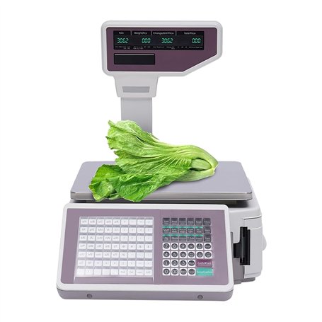Balance Numérique D'une Capacité de 30 Kg/60 Lb