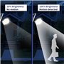 CDX Lampes d'inondation à énergie solaire d'extérieur avec télécommande et éclairage de sécurité avec détecteur de mouvement pou