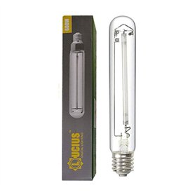 Lucius Ampoule 600 W HPS haute pression de sodium - pour croissance et floraison