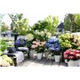 5cm - Hauteur 25-4