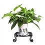 Support Plante, Stands de plante, support de plante noire pour porte-pot en pot en pot à l'intérieur du métal en extérieur en fe
