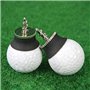 Demeras Balle de Ventouse en Alliage de Silicone Balle de ramasser Putter Grip Aides à Entraînement de Sucker Retriever Tool Adu