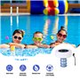 Purificateur de Piscine D'ionizer de Piscine Solaire, Dispositif de Nettoyage de la Piscine de Désinfection avec 2 Anodes de Cui