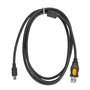 Connexion USB de Scanner de Diagnostic Automatique de Haute Précision d'outil de Diagnostic de WIFI ODIS 6.2