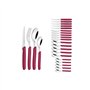 Tramontina - TRAMONTINA-Ménagère 24 pcs Carmel Inox et Plastique Fushia - Ensemble de Couverts Moderne et Pratique. Design Éléga