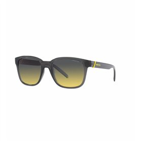 Lunettes de soleil Unisexe Arnette AN4320-27862Q-55 Ø 55 mm