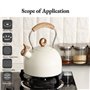 Bouilloire Sifflante, Plus Grande Capacité Théière en Acier Inoxydable de 2,5 Litres avec Poignée Ergonomique Théière Sifflante 