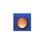 Bouchon couronne mm.29.0 pZ.200 [machx]