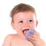 CLEMENTONI - Ferme sensorielle Clemmy