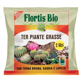 FLORTIS Terreau pour plantes grasses 2 l soin des plantes intérieures extérieures