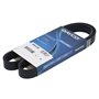 Courroie trapézoïdale DAYCO 6PK1073K