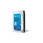 Seagate Exos 15E900 ST900MP0146 - Disque Dur - 900 Go - Interne - 2.5" SFF - SAS 12Gb/s - 15000 Tours/Min - mémoire Tampon : 256