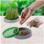 2 Types d'herbe pour Chien