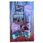 Accessoires pour cheveux Frozen II Disney 16 pièces élastiques brosse pinces pinces avec nœud en boîte