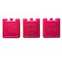 Capestore Set de Packs de Glace Réutilisables – Ice Pack Extra Plat 100 ML, Mini Blocs Réfrigérants pour Lunch Box, Sac Isotherm