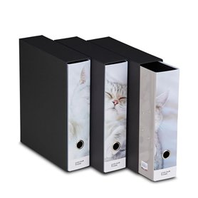 Lot de 3 classeurs à anneaux