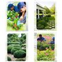 kippen 6022LX Lot de 3 Outils de Jardin avec poignée en Bois Verni