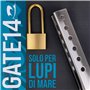 GATE14® Système de Verrouillage antivol et en Acier Inoxydable pour Moteur Hors-Bord