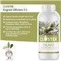 Cuivre