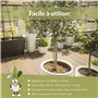 CLOSTER - Engrais Liquide pour Oliviers 1 Litre avec Azote, Cuivre, Phosphore et Potassium - Chélates de Fer pour Plantes Vertes