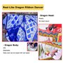 banderole de danse du dragon for sports de