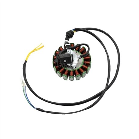 Stator Magnétique À 18 Bobines Moteur 200W pour CG250 pour Moteur 250cc 200CC ATV Quad Buggy Dirt Pit Bike MotorcycleGo Karts al