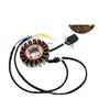 Stator Magnétique À 18 Bobines Moteur 200W pour CG250 pour Moteur 250cc 200CC ATV Quad Buggy Dirt Pit Bike MotorcycleGo Karts al