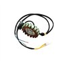 Stator Magnétique À 18 Bobines Moteur 200W pour CG250 pour Moteur 250cc 200CC ATV Quad Buggy Dirt Pit Bike MotorcycleGo Karts al
