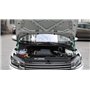 Supports de levage de capot Tiges de levage de capot Bras de levage de capot 2Pcs Engine Hood Lift Front Bonnet Strut pour V-W F