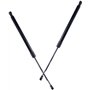 Supports de levage de capot Tiges de levage de capot Bras de levage de capot 2Pcs Engine Hood Lift Front Bonnet Strut pour IS250