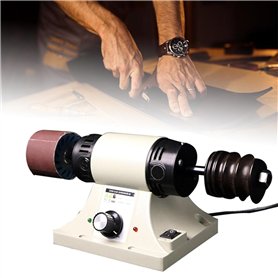 QYOEGSQ Machine Polissage Cuir Professionnelle