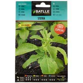 Semillas aromáticas de Battle - Stevia (Seeds - 50cm)