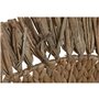 Figurine Décorative Home ESPRIT Naturel Poisson méditerranéen 63 x 5 x 50 cm (2 Unités)