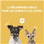 MAIKAI Lot 3 x 100g Filet de Poulet Séché - Friandises pour Chien 100% Naturelles -Protéines et Nutriments de Qualité - Nourritu