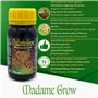 MADAME GROW - Engrais pour la croissance et la floraison - GROWTH BASIC KIT (3x500 ml)