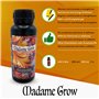 MADAME GROW - Engrais pour la croissance et la floraison - GROWTH BASIC KIT (3x500 ml)