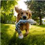 Patapalooza Jouet en Peluche sonore pour Chien – Stimule Le Jeu et réduit l'anxiété en imitant Les Sons familiaux.