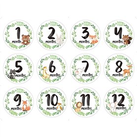 LANCHEN 12 pièces/Ensemble Nouveau-né Jalon commémoratif Mois Autocollants Floral bébé mensuel Autocollant