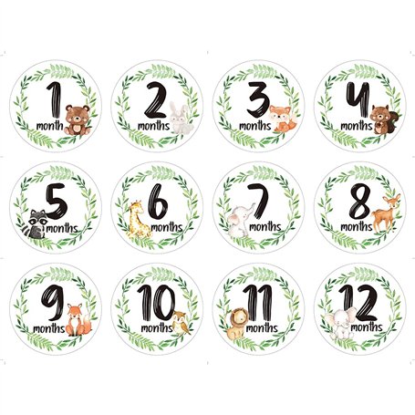 LANCHEN 12 pièces/Ensemble Nouveau-né Jalon commémoratif Mois Autocollants Floral bébé mensuel Autocollant