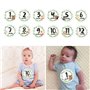 LANCHEN 12 pièces/Ensemble Nouveau-né Jalon commémoratif Mois Autocollants Floral bébé mensuel Autocollant