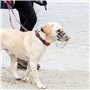 Muselière géante en fil de fer CHOPO pour chien - Confort et sécurité en équilibre parfait