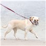 Muselière géante en fil de fer CHOPO pour chien - Confort et sécurité en équilibre parfait