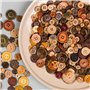 Youery Lot de 600 pcs Boutons en Bois de Noix de Coco DIY Shell-Lines Boutons 2/4 Trous Boutons pour Couture et travaux manuels 
