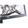 DisplayPort