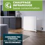 Princess Chauffage infrarouge connecté - 350 W - Faible consommation - Application gratuite - Programmable avec thermostat intég