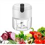 Hachoir à ail électrique, mini hachoir à légumes portable, broyeur d'aliments USB, lame à 3 lames en acier inoxydable, mini proc