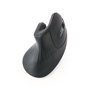 Souris Bluetooth Sans Fil GEMBIRD MUSW-ERGO-03