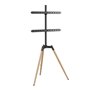 Support de TV GEMBIRD TVS-65S-01